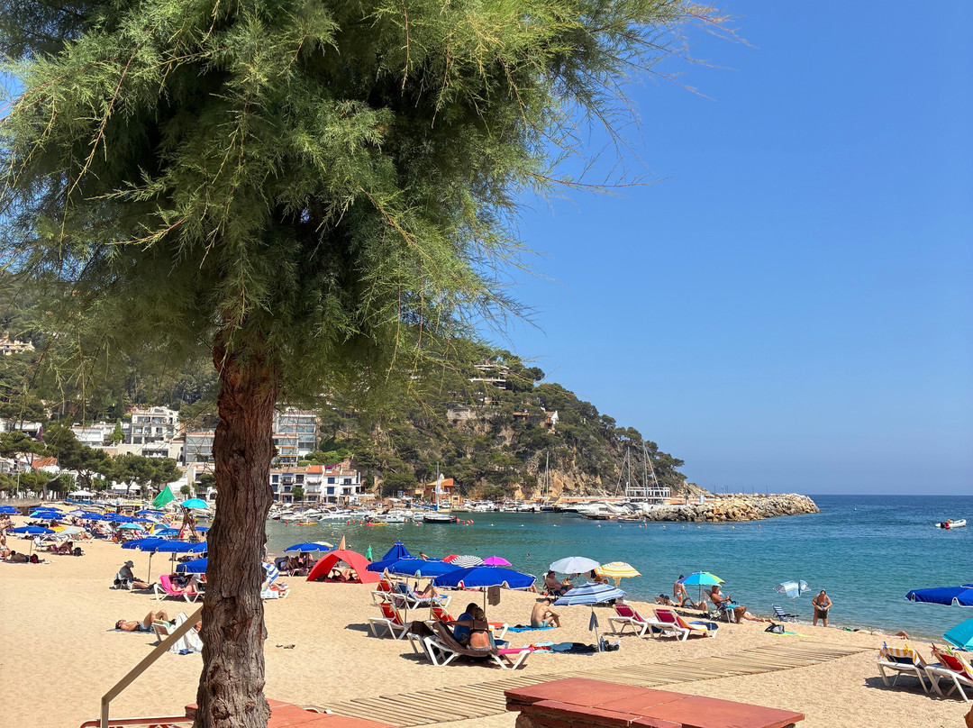 Playa De Llafranc-Llafranc必去景点