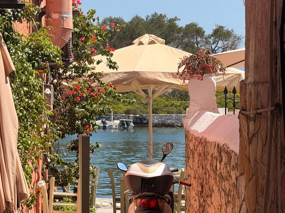 ODYSSEY - Ria Formosa Boat Tours-奥良必去景点