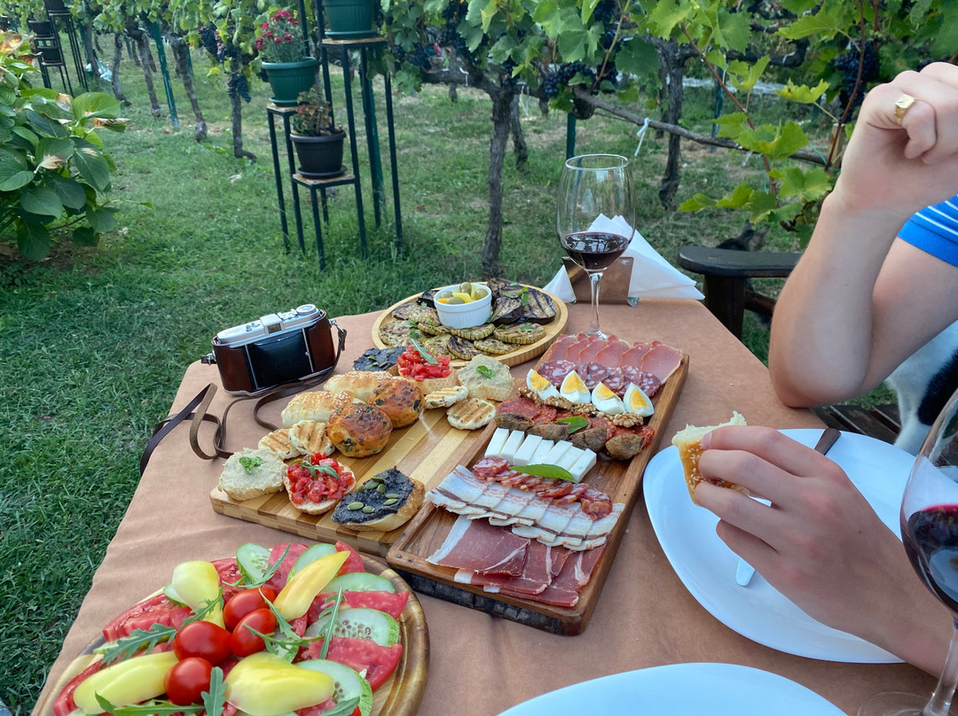 Winery TRADICIJA-Godinje必去景点
