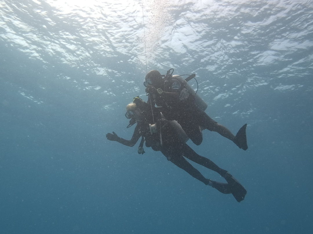 The Zanzibar Dive Centre, One Ocean-基万嘎必去景点