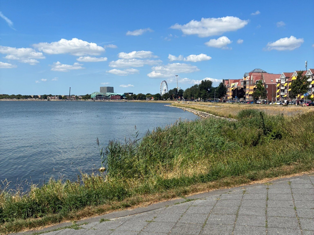Stadsstrand Hoorn-霍伦必去景点