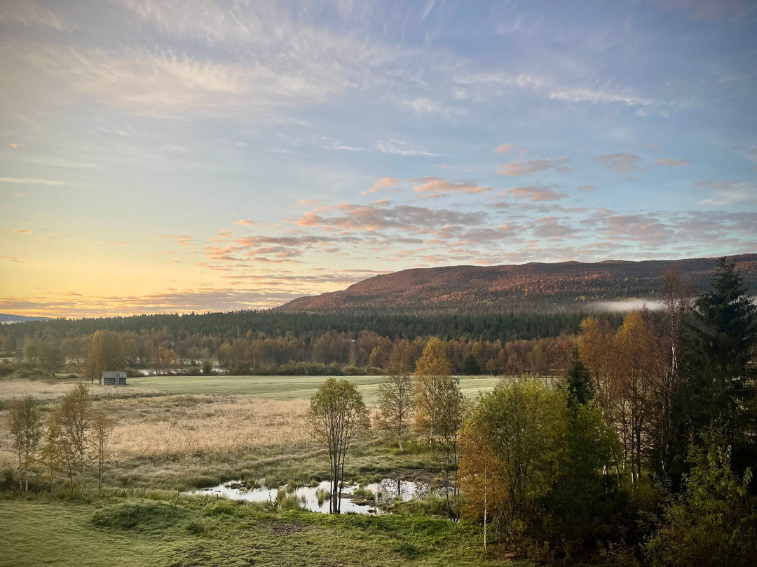 Ammarnasgarden Fjallhotell och Vandrarhem主图