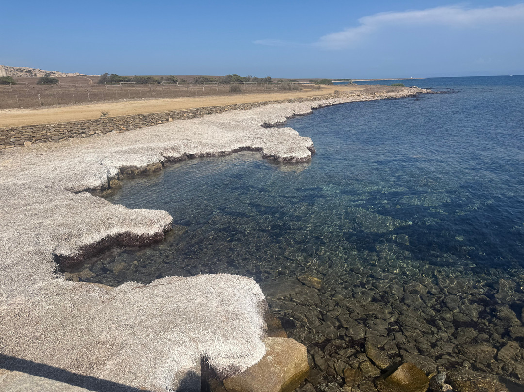 Wild Asinara Park-萨萨里省必去景点