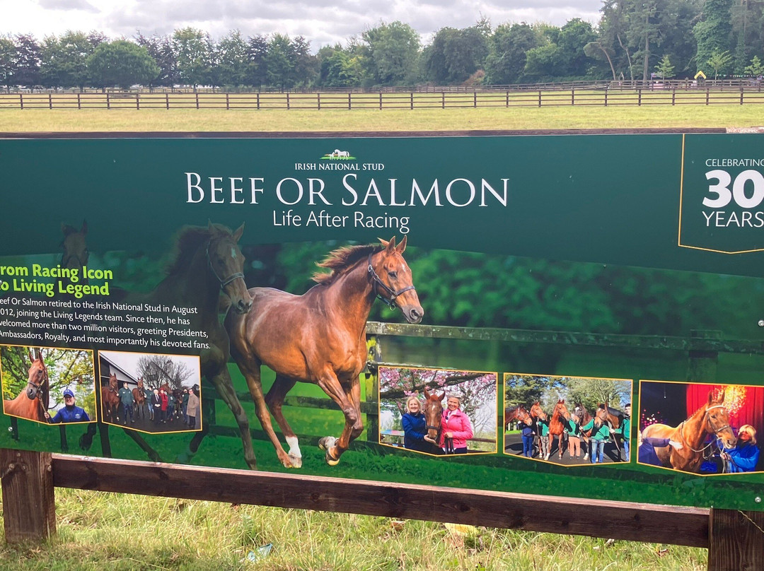 Irish National Stud & Gardens-Tully必去景点