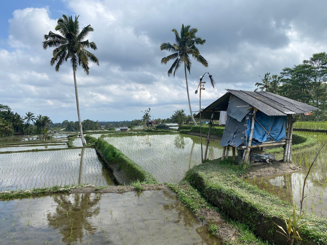 Bali Fun Bike Adventure-Pejeng Kaja必去景点