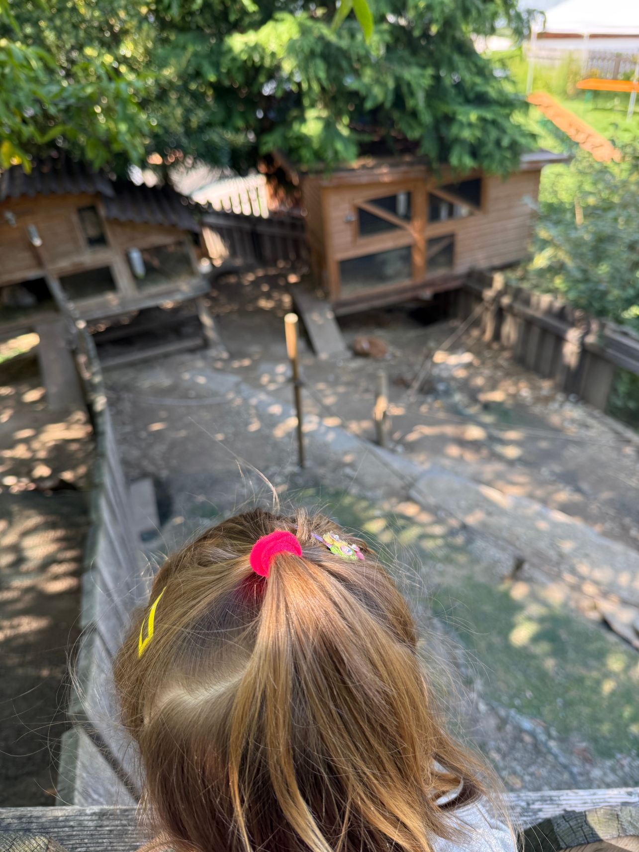 Family Hotel Gutenberg-旅行者