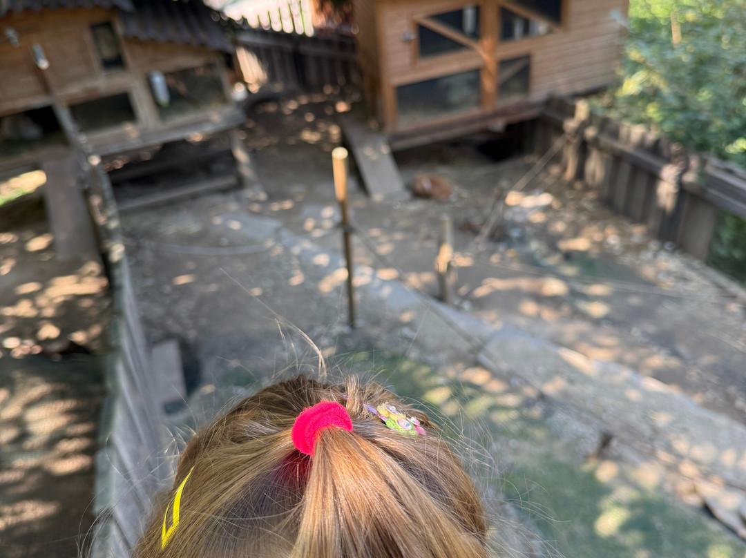 Family Hotel Gutenberg主图