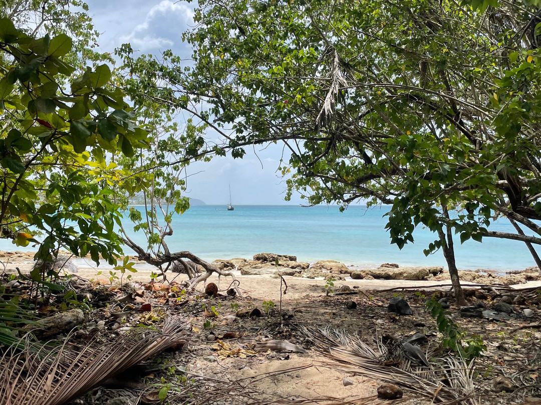 Playa Escondida-拉斯特拉纳斯必去景点