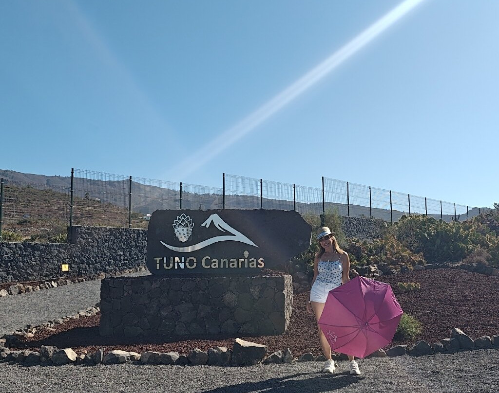 Red Cactus Farm Experience & Tasting – Finca Tuno Canarias-Valle De San Lorenzo必去景点