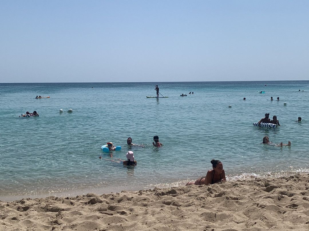 Samanà Beach-Punta Prosciutto必去景点
