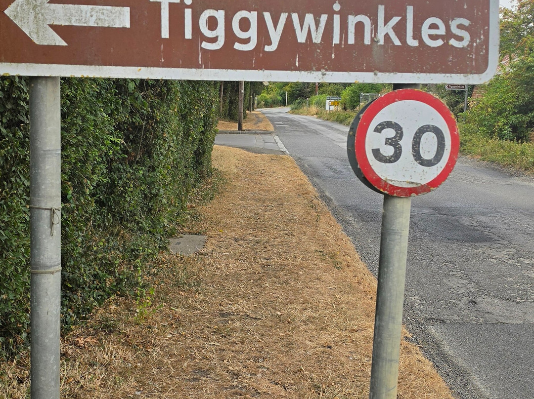 Tiggywinkles Wildlife Hospital Visitor's Centre-Haddenham必去景点