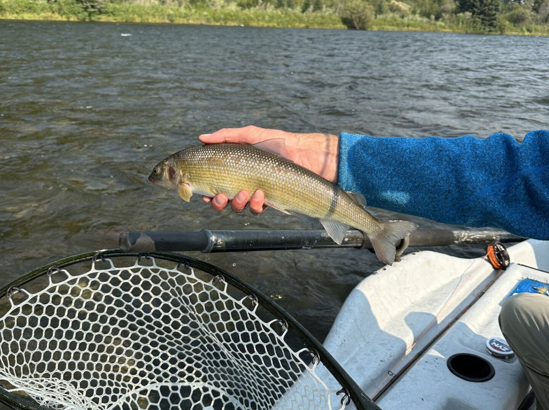 Gallatin River Guides-大斯凯必去景点