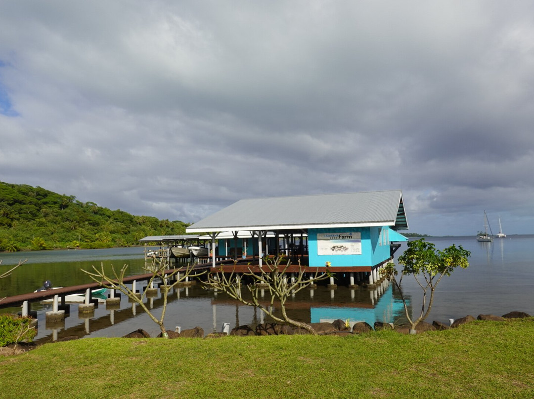 Terainui Tours Excursions Tahaa-Haamene必去景点