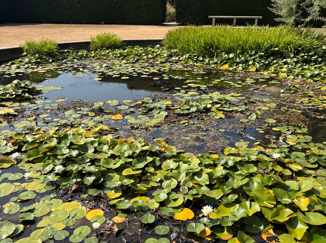 National Trust - Knightshayes Court-蒂弗顿必去景点