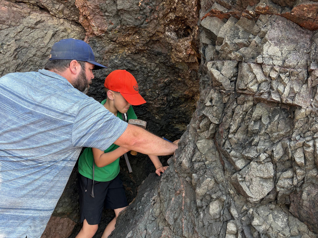 Fundy Treasure Tours-Joggins必去景点