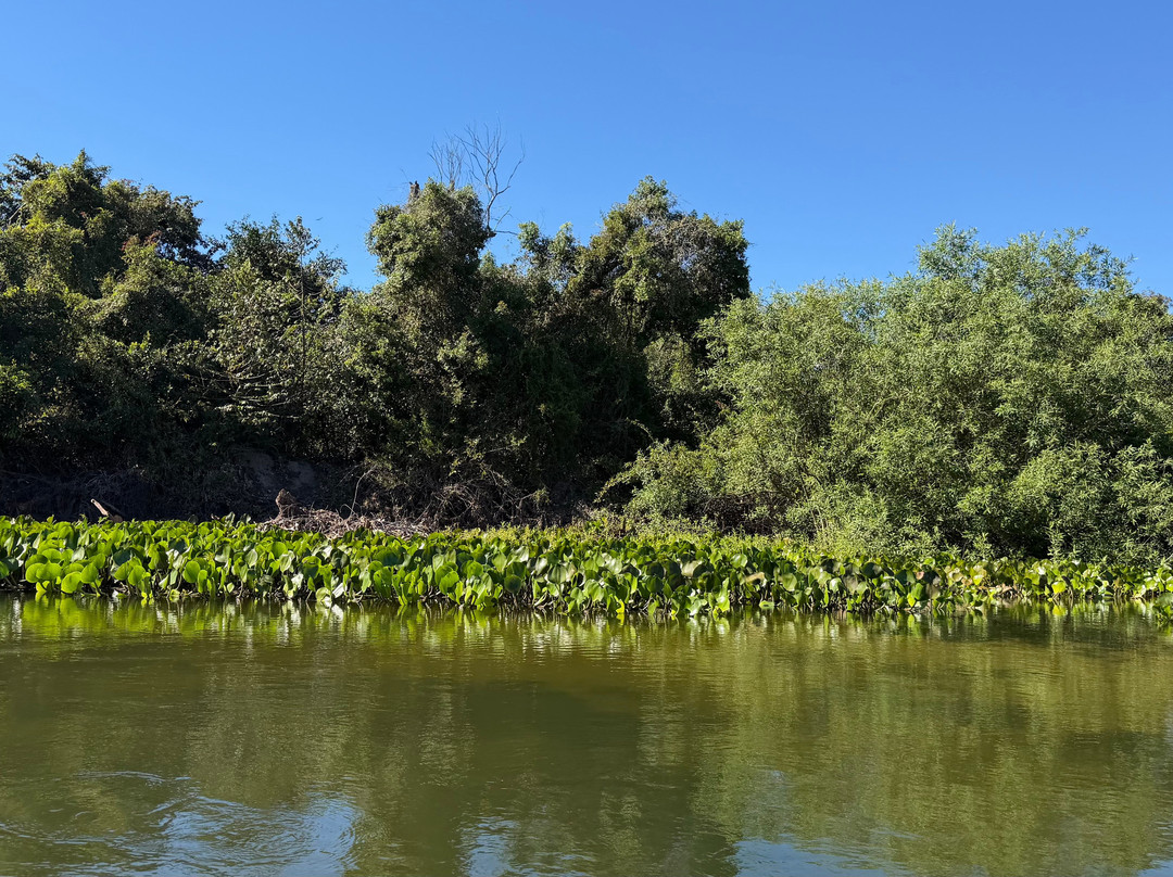 Projeto Salobra Ecologia e Turismo-米兰达必去景点