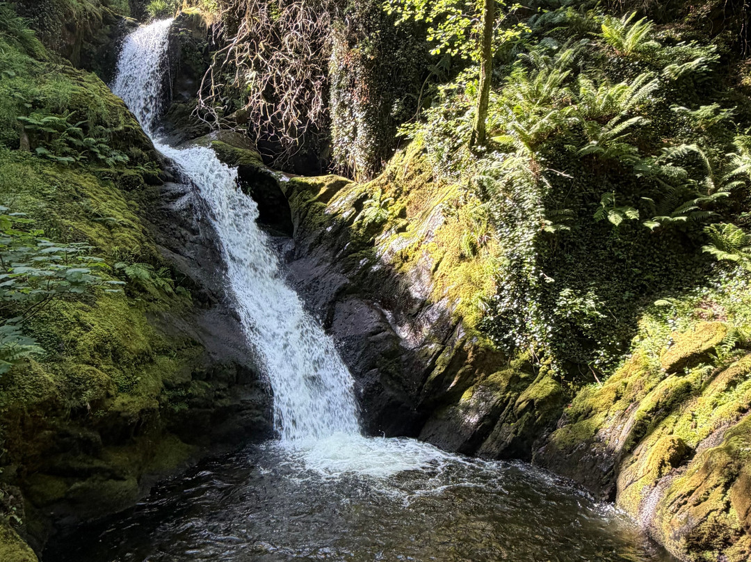Dolgoch Falls-雪墩国家公园必去景点