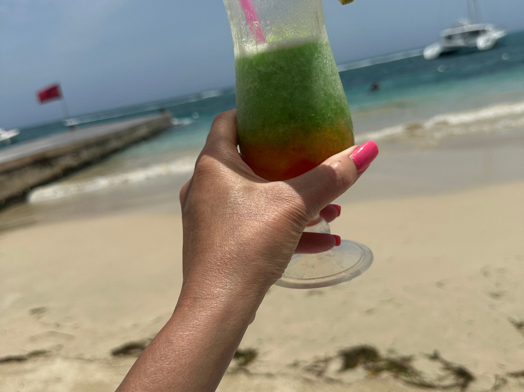皇家桑戴尔植物园酒店 - 全包式 - 仅供情侣或夫妻主图