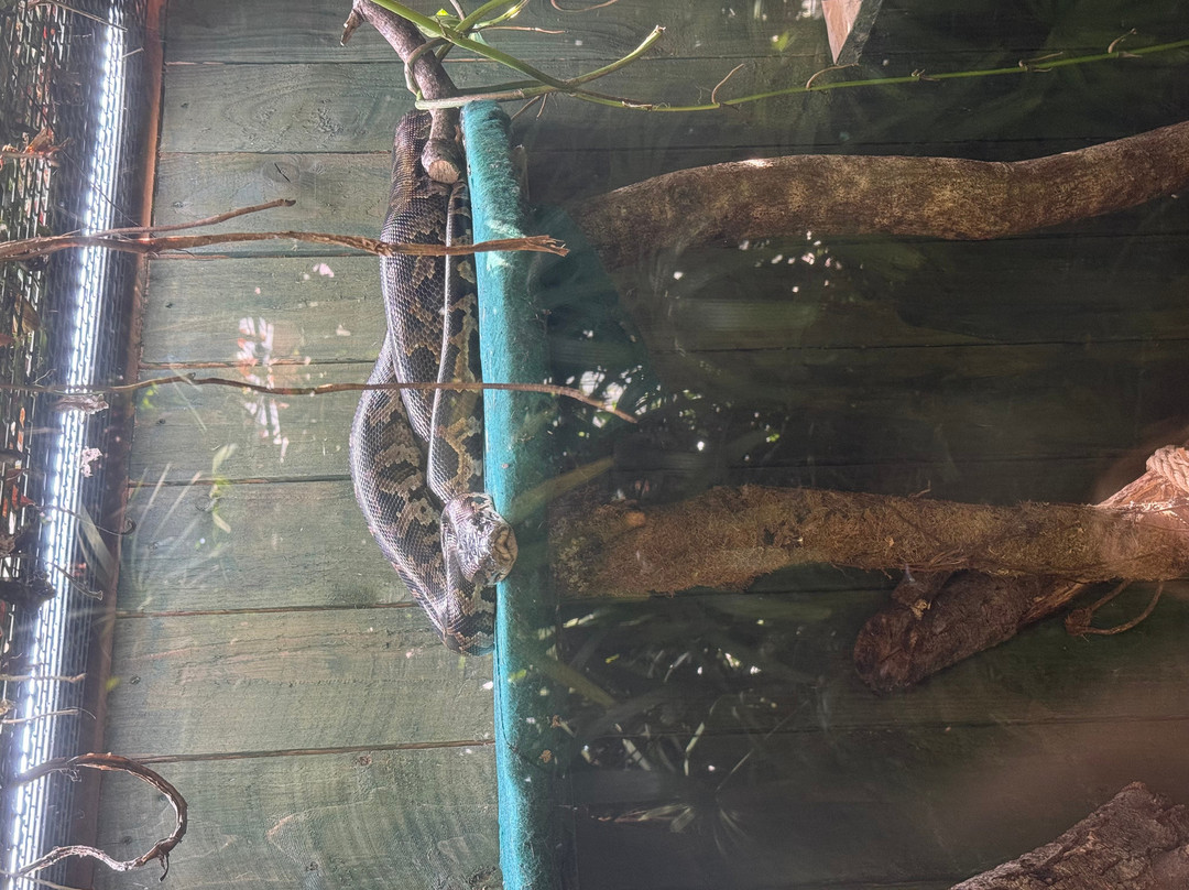 Plantasia Tropical Zoo-斯温西必去景点