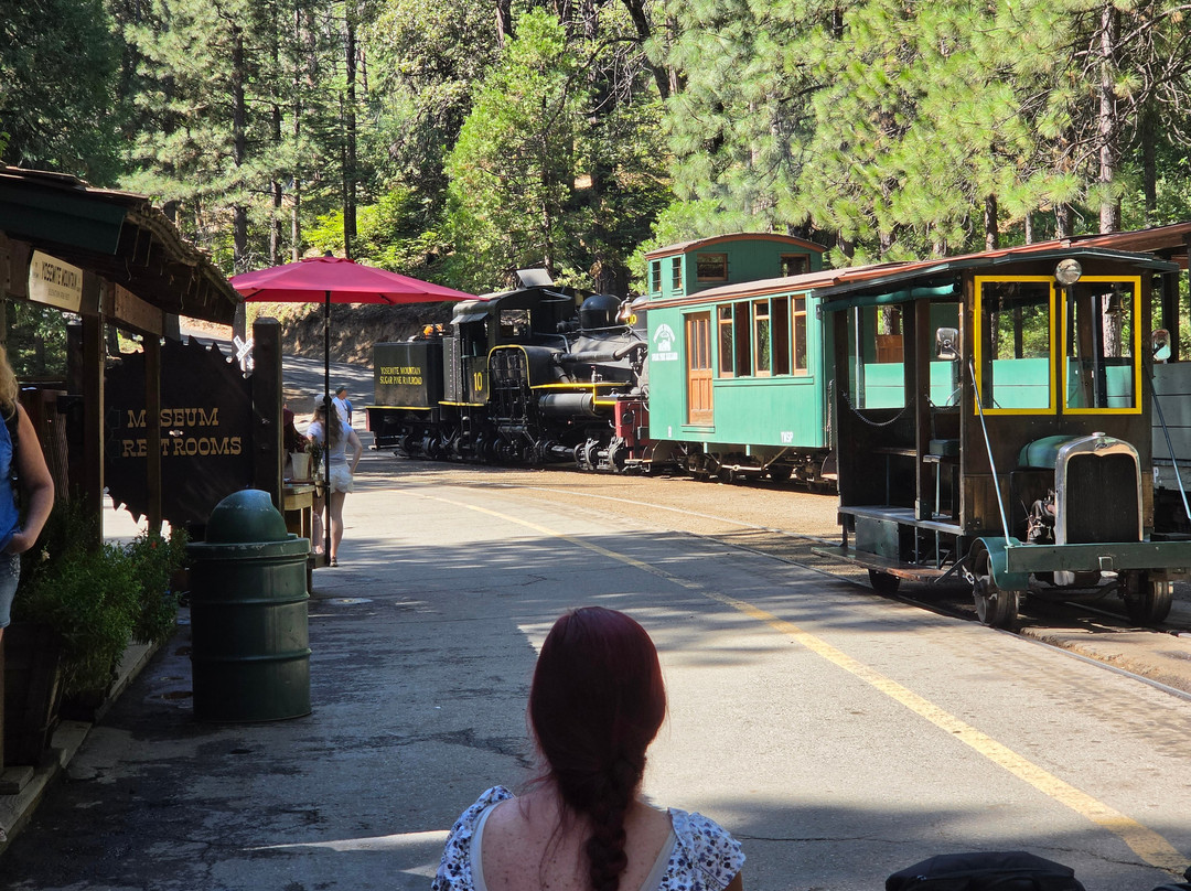 Yosemite Mountain Sugar Pine Railroad-菲什营必去景点