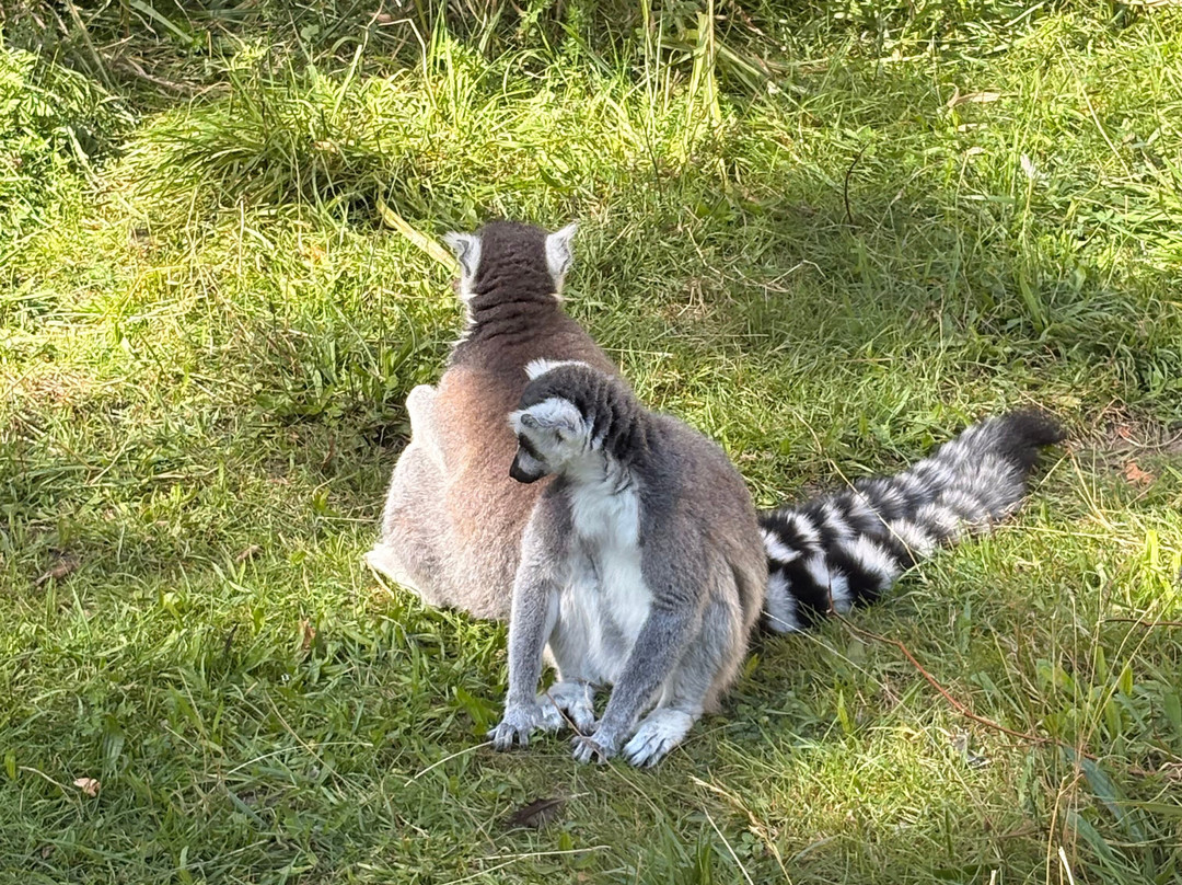 Aalborg Zoologiske Have-奥尔堡必去景点