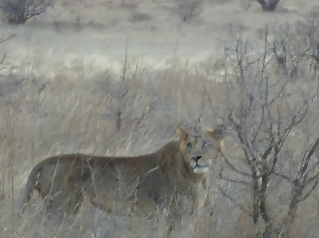 Top Africa Safaris-迪亚尼必去景点
