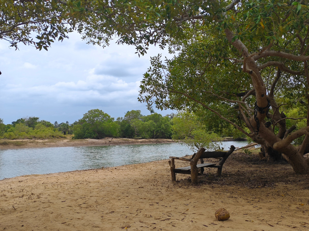 Diani By Day Tours-迪亚尼必去景点