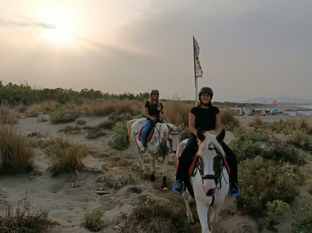 Cavallo Natura-Marina di Grosseto必去景点