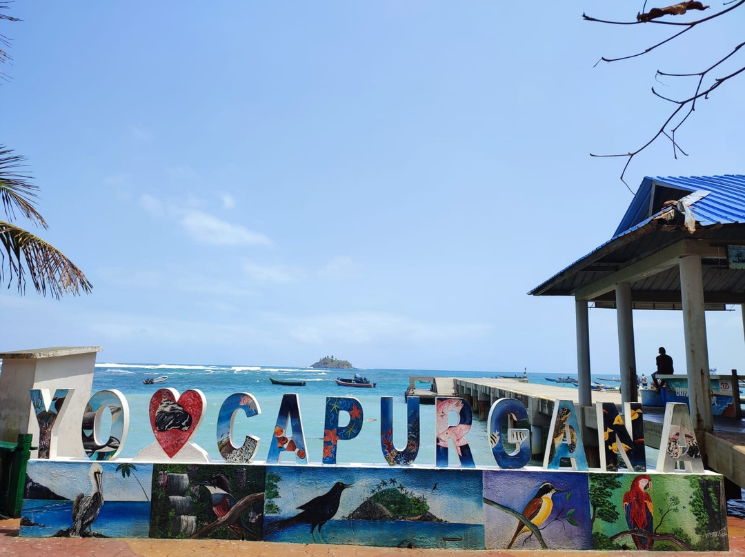Sendero Ecoturistico Capurgana - Sapzurro-Capurgana必去景点