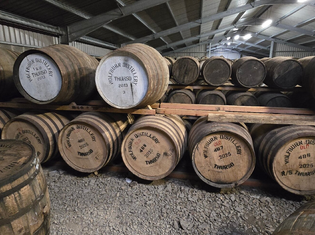 Wolfburn Distillery-Thurso必去景点