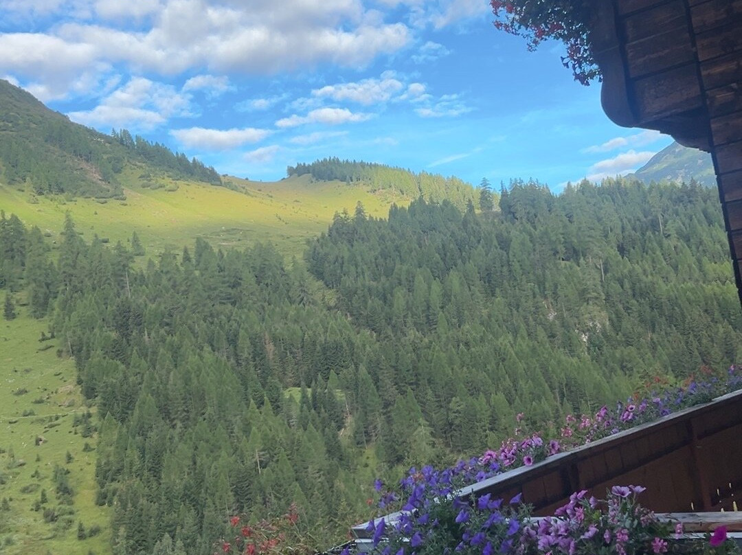 Gasthof Alpenhof主图