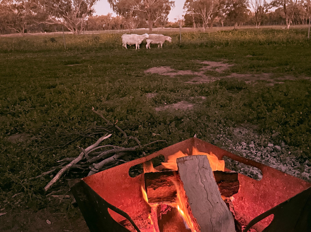 Carinya CAMPING, GLAMPING & TOURS-Lightning Ridge必去景点
