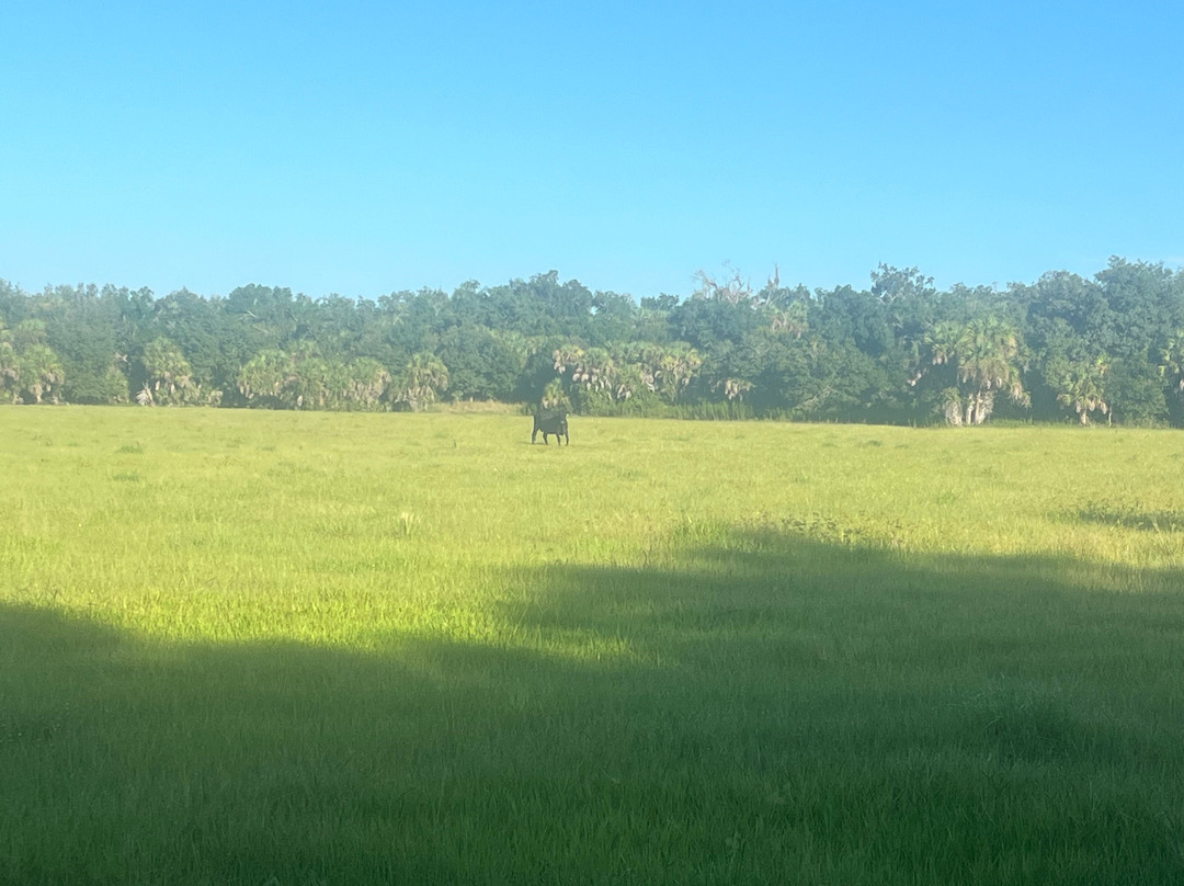 Walton Ranch Preserve