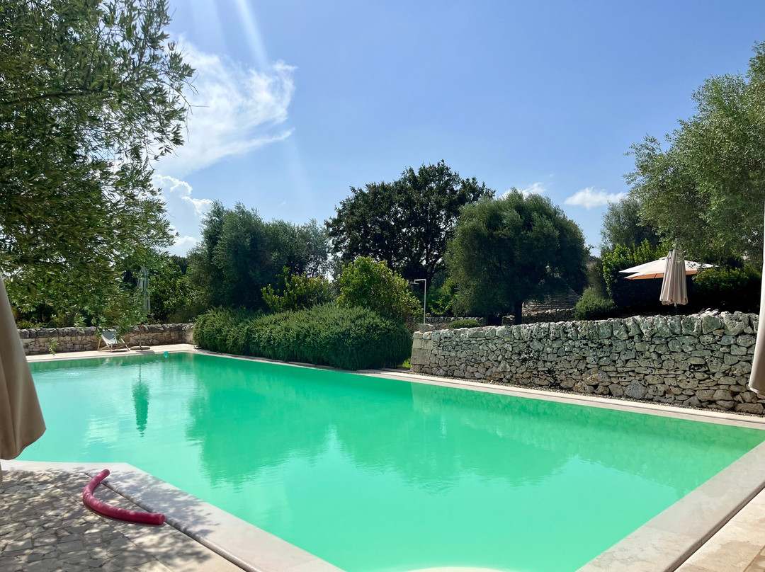 Masseria Trulli e Vigne