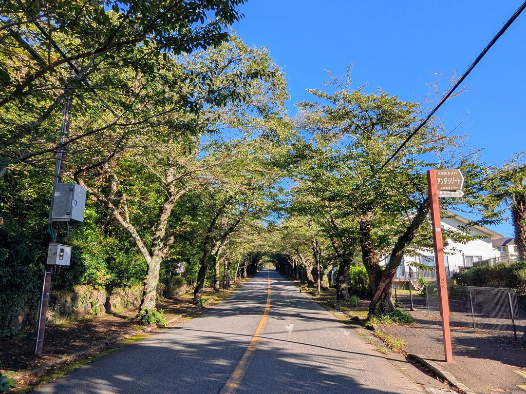 Izu Highlands-伊东市必去景点