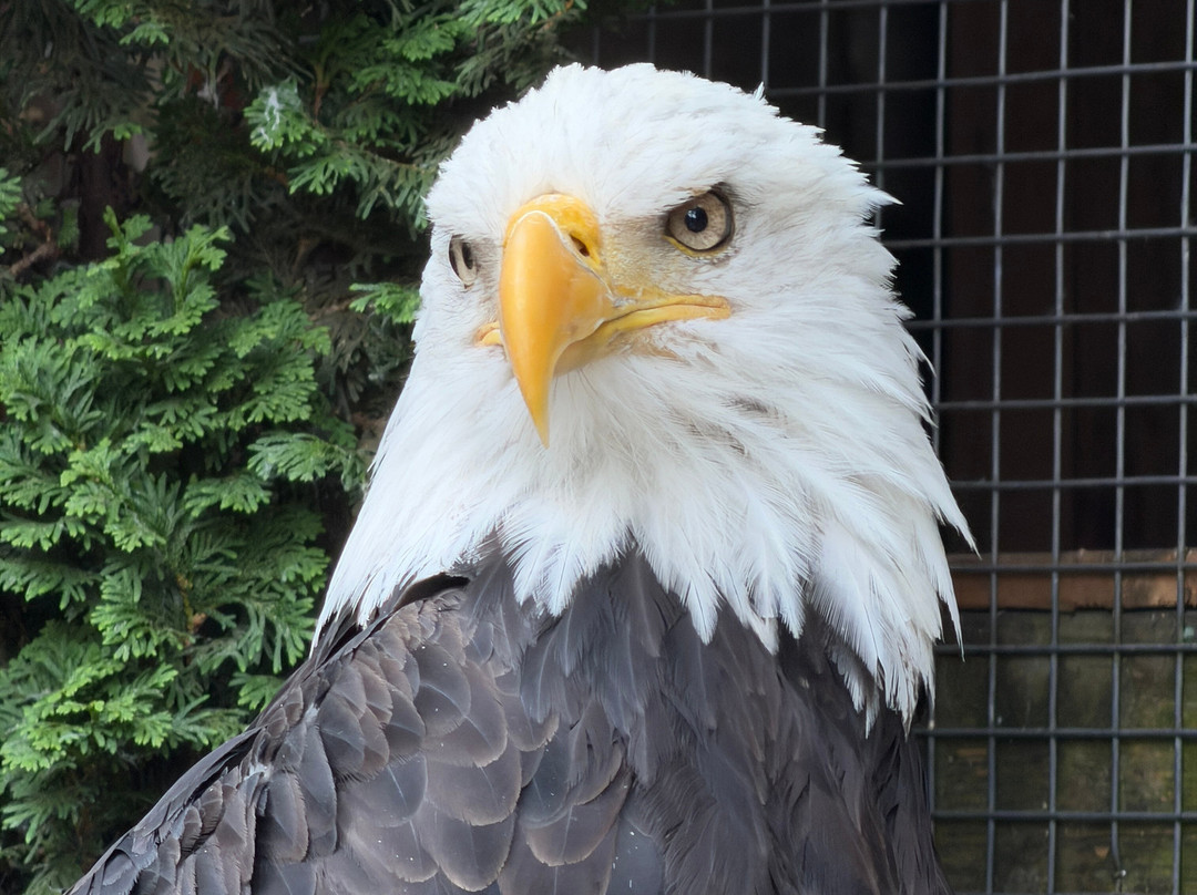 North Island Wildlife Recovery Centre-Errington必去景点