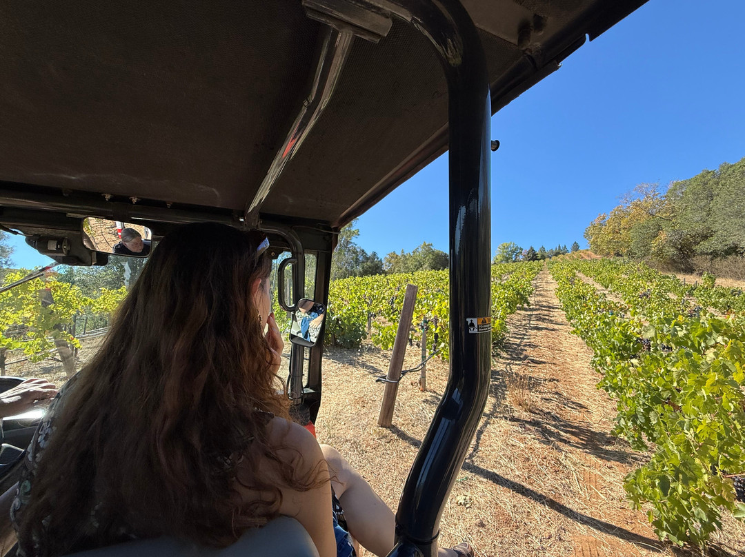 Capo Creek Winery-希尔兹堡必去景点