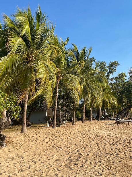 VOI Amarina Resort-旅行者