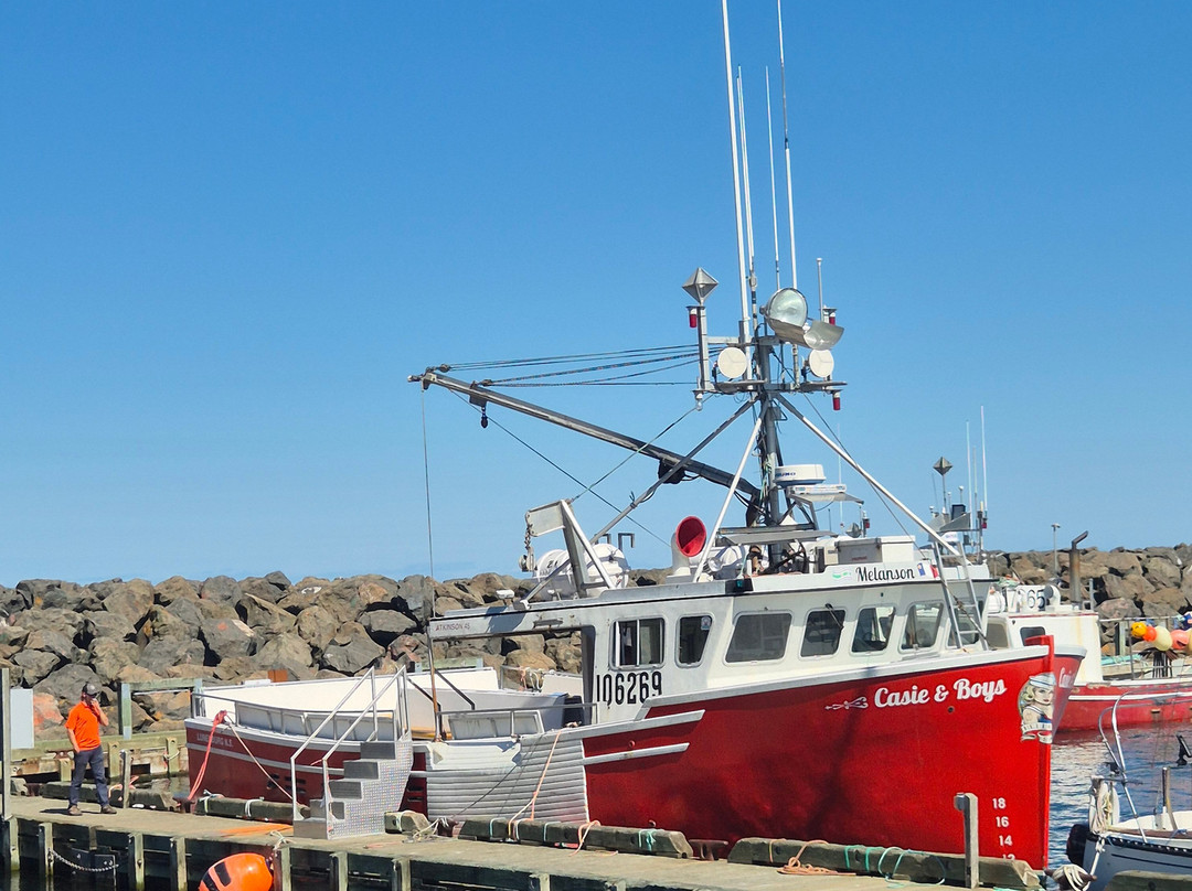 Adventure Bay Whale Watch Co.-Tiverton必去景点