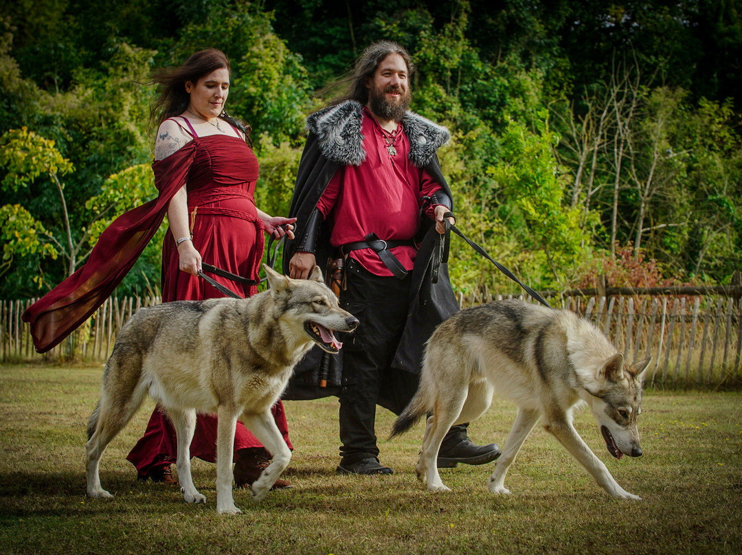 Watermill Wolves Wolf-dog Actors-Bexhill-on-Sea必去景点
