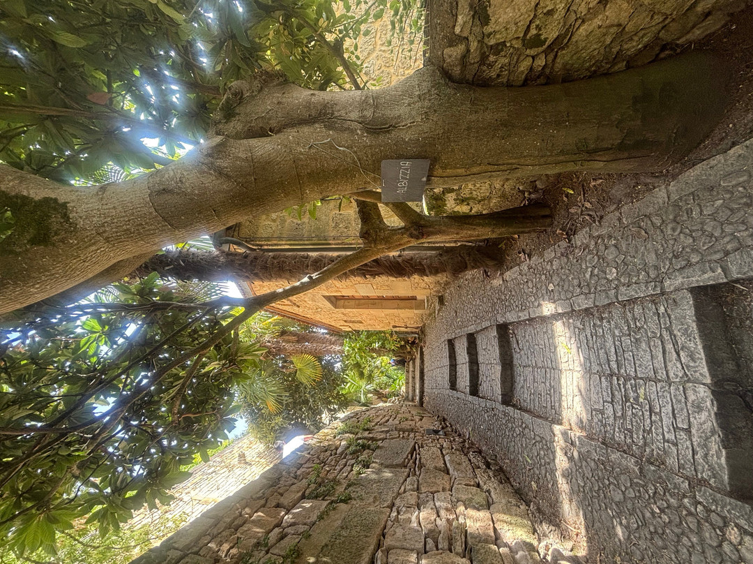 La Roque-gageac, Les Hautes De Gageac