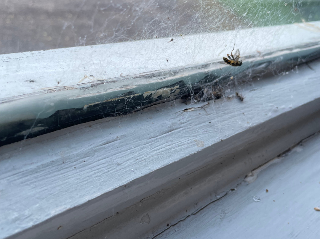 卡莱多尼亚酒店主图
