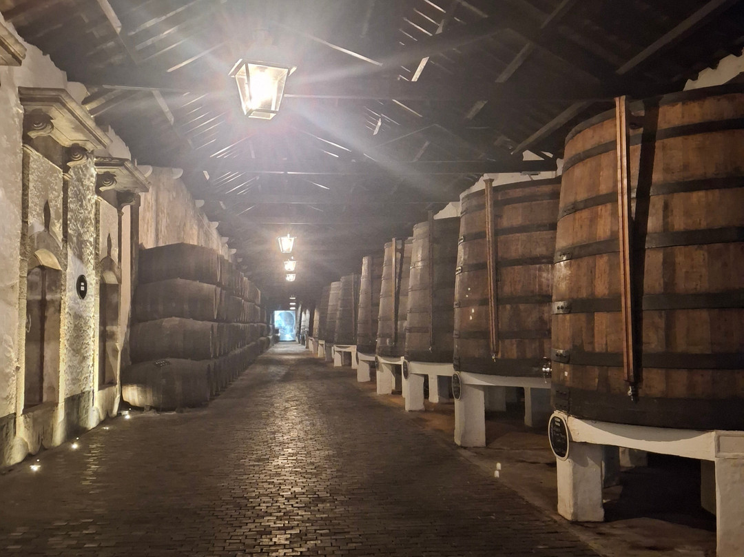 Ferreira Cellars-加亚新城必去景点