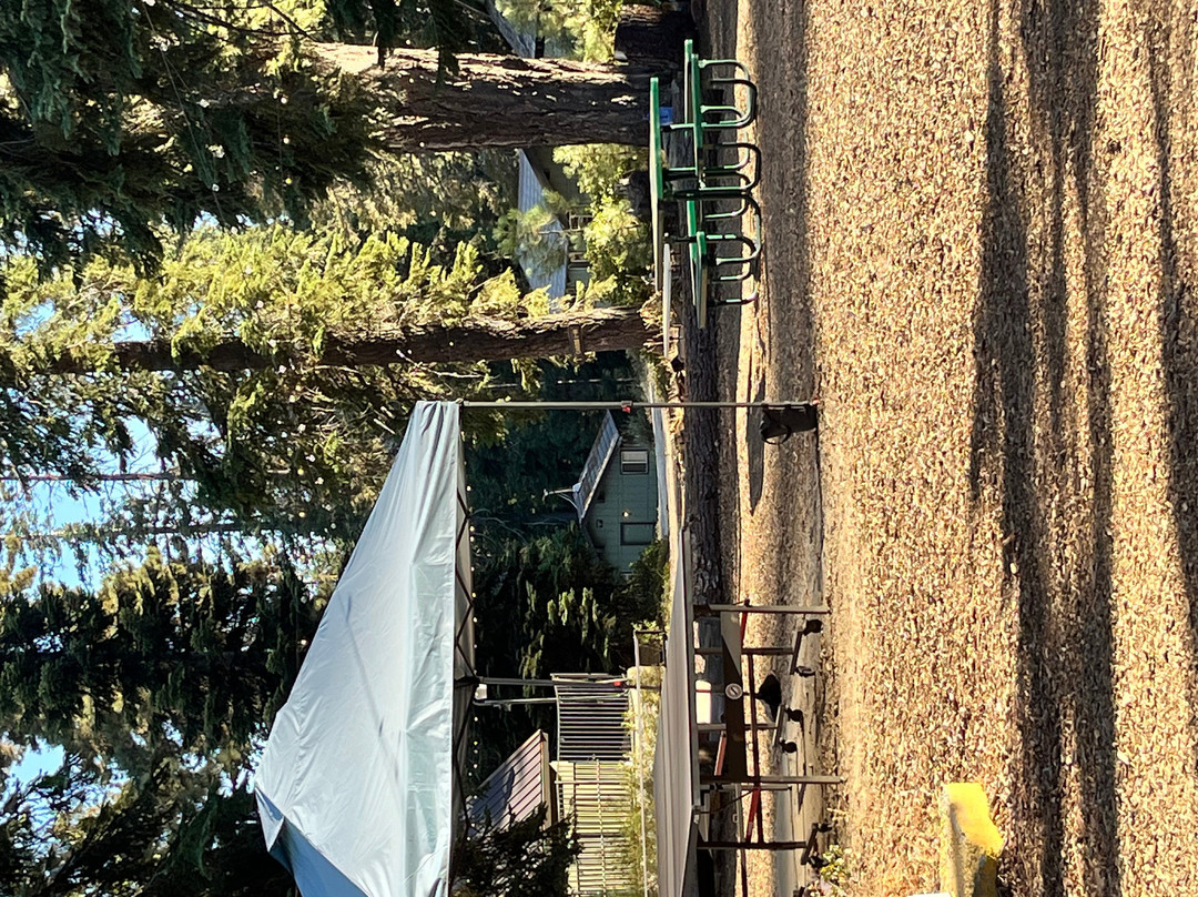 蒙特西托红杉小屋主图