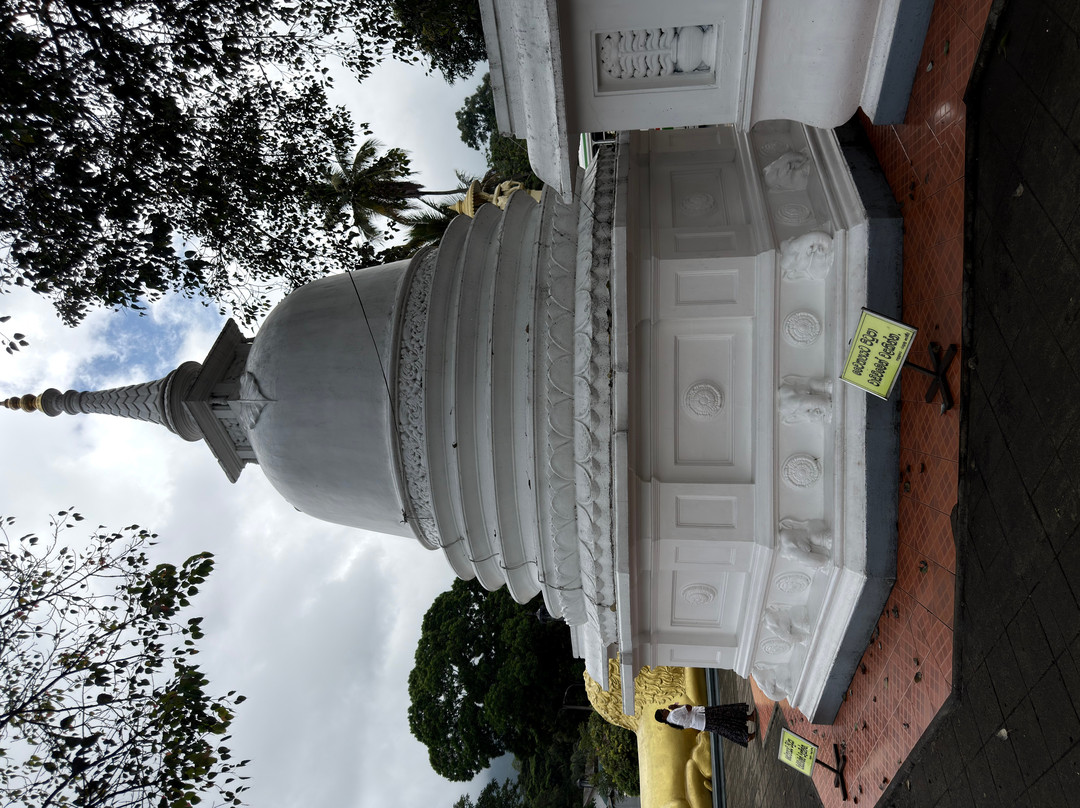 Kandy Trekking Tours-康提必去景点