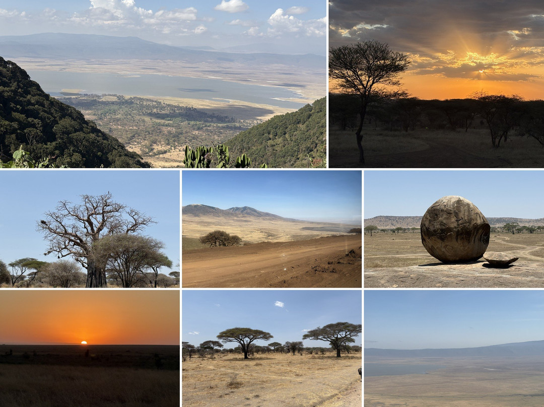 Wild Authentic Tanzania-阿鲁沙必去景点