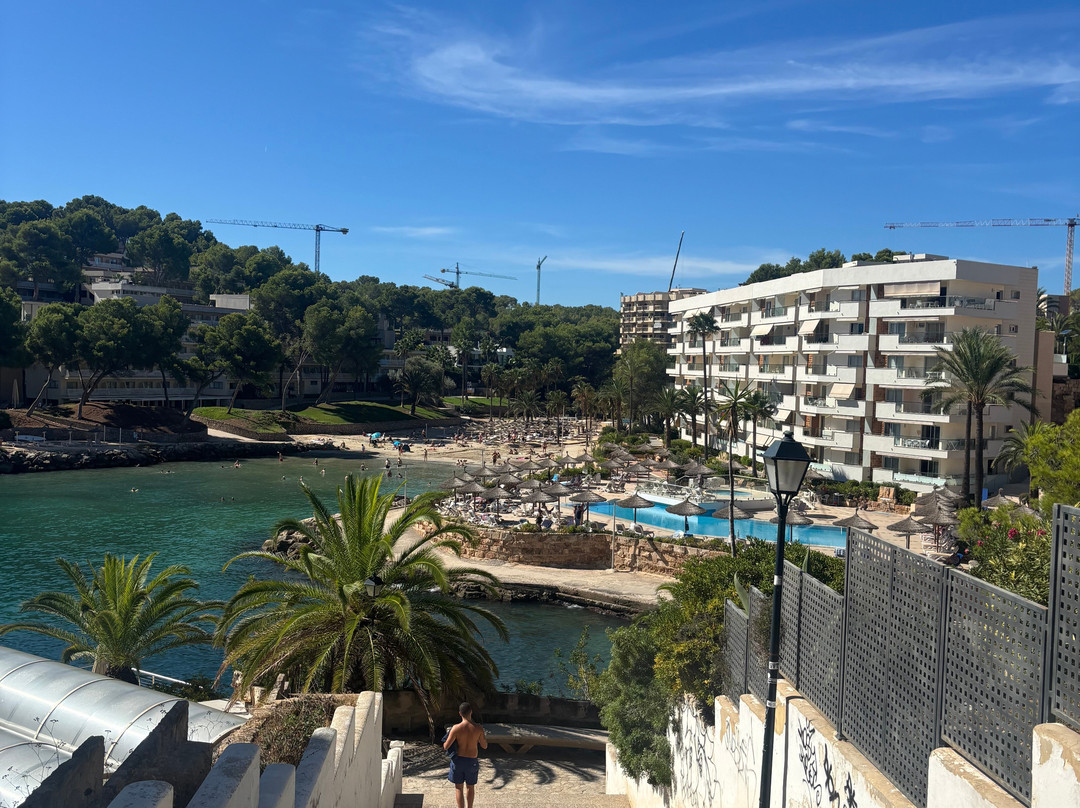Globales Cala Viñas Adults Only 16+主图