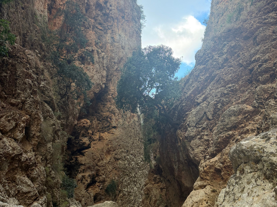 The Gorge of Aradena-Aradena必去景点