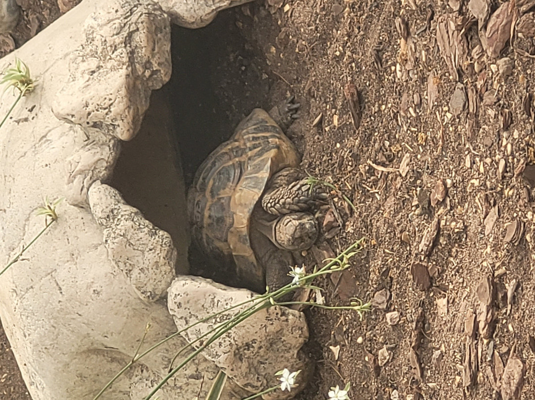 Natureland Seal Sanctuary-斯凯格内斯必去景点