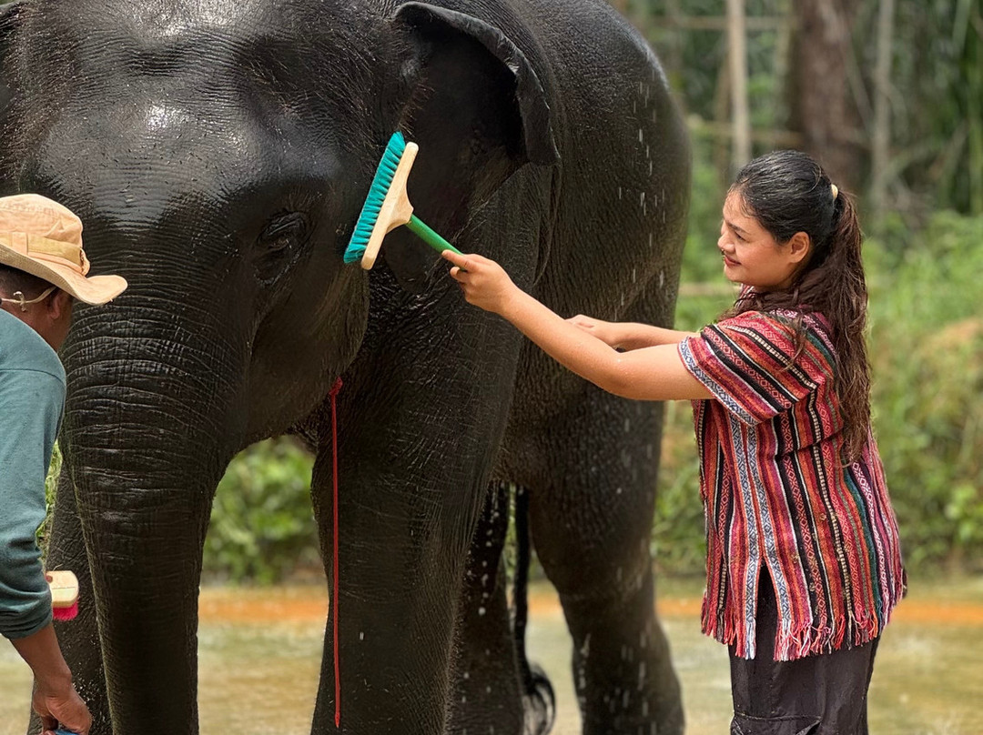 Phuket Elephant Care-奈通必去景点